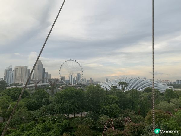 ✨新加坡濱海灣花園Super Tree✨