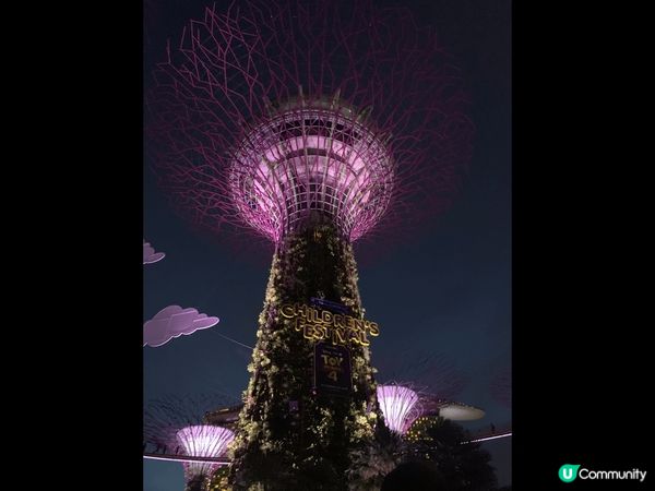 ✨新加坡濱海灣花園Super Tree✨