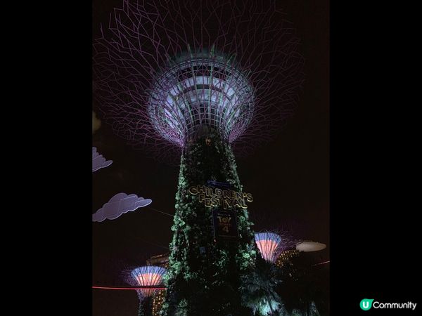 ✨新加坡濱海灣花園Super Tree✨
