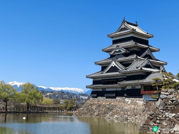 2024 到訪日本名城松本城！當日天氣很好，非常幸運可以影到...