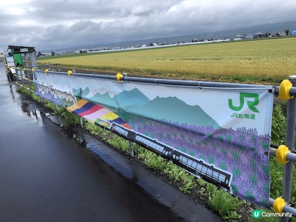 每年6月至9月先會行駛?車站，仲要得1?觀光列車會停