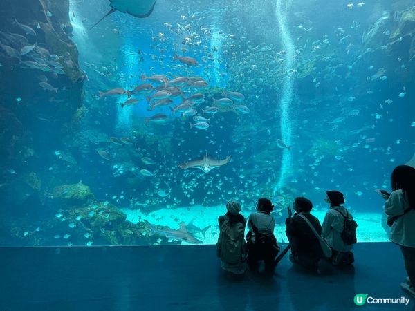 1. 有如萬馬奔騰，位於台灣新北市，有「臺灣尼加拉瀑布」之稱...