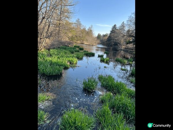 日本三大溫泉知明之一，草津溫泉??之旅！
