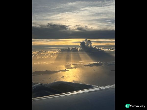 濟州的各種海邊及花海同天空都非常漂亮及適合打卡