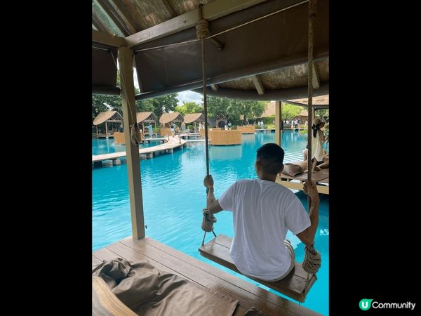 Bubble in the forest caf?, 舒舒服...