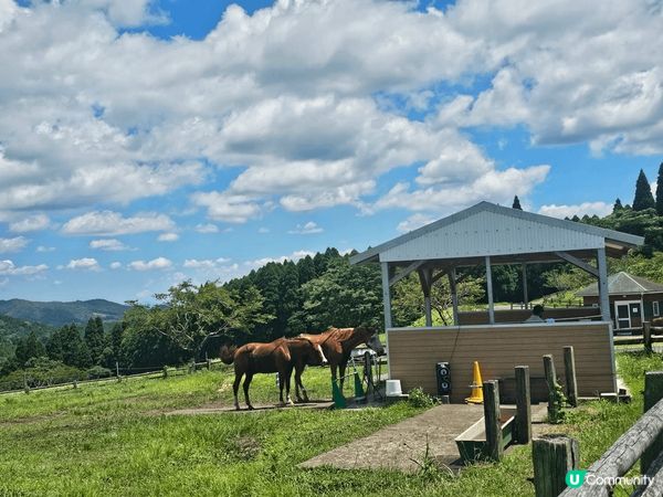 鹿兒島縣‘’霧島神話之里公園‘’及宮崎縣‘’高千穗牧場‘’