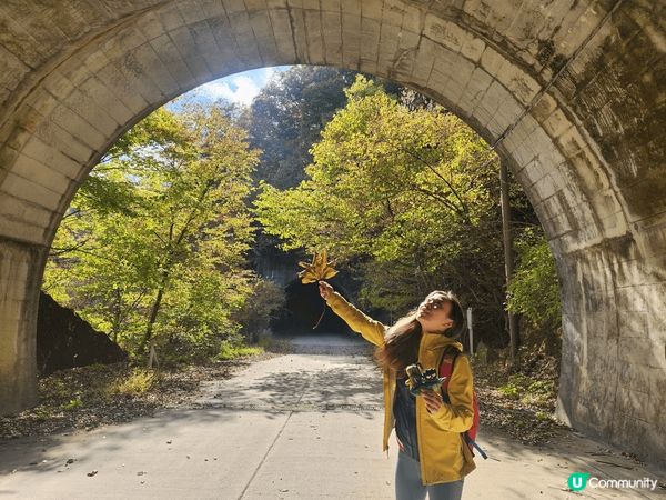 日本樂遊閒，融入大自然色彩，走進一幅幅如詩如畫風景，盡情抒發...