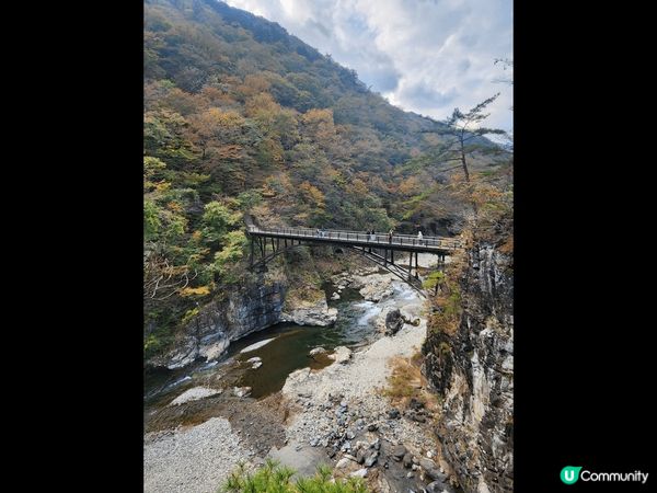 日本樂遊閒，融入大自然色彩，走進一幅幅如詩如畫風景，盡情抒發...