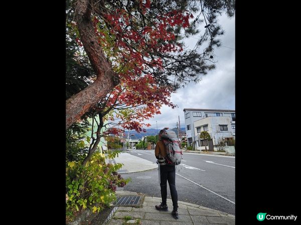 日本樂遊閒，融入大自然色彩，走進一幅幅如詩如畫風景，盡情抒發...