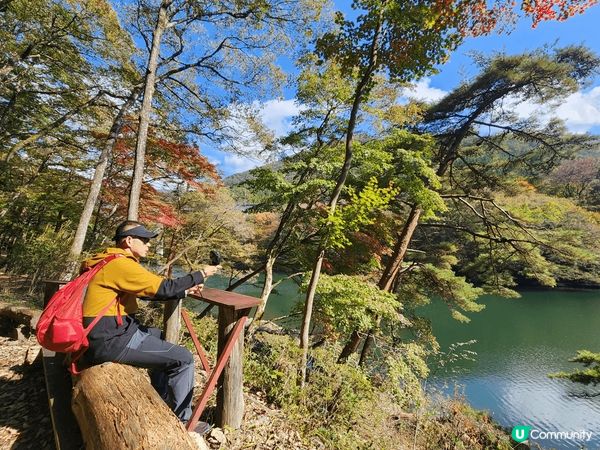 日本樂遊閒，融入大自然色彩，走進一幅幅如詩如畫風景，盡情抒發...