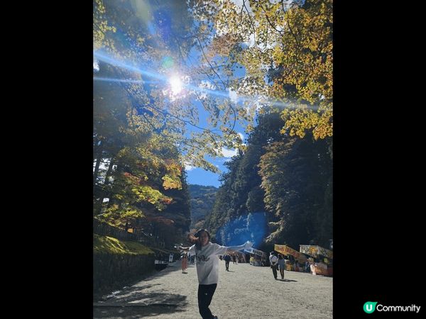 日本樂遊閒，融入大自然色彩，走進一幅幅如詩如畫風景，盡情抒發...