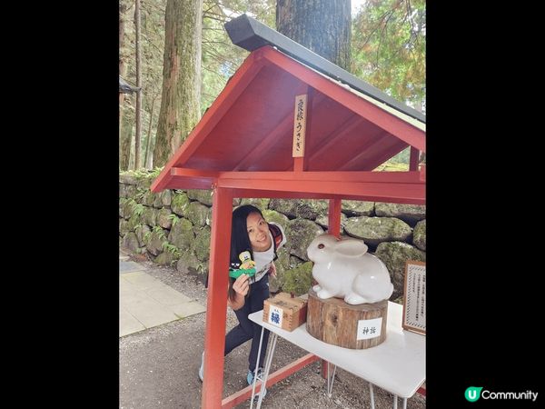 日本樂遊閒，融入大自然色彩，走進一幅幅如詩如畫風景，盡情抒發...