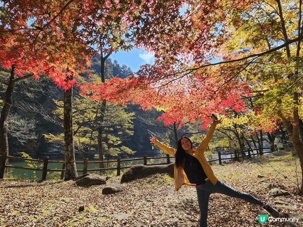 日本樂遊閒，融入大自然色彩，走進一幅幅如詩如畫風景，盡情抒發...