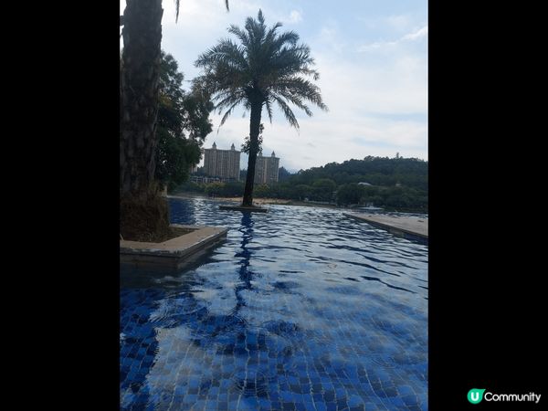 十大最美 喜來登  有一家就在我們附近， 中國 惠州 小白鷺...