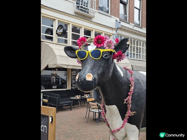 荷蘭其中一個大城市Rotterdam, 現代化，建築特別，闖...