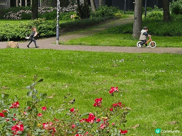 荷蘭其中一個大城市Rotterdam, 現代化，建築特別，闖...