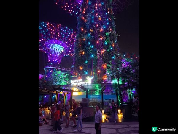 新加坡的建築物好有特色，令人驚嘆，成為一個個的打卡點