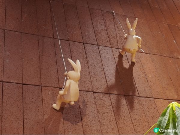 來上海一定要吃一頓滬式火鍋再走！滿桌子九宮格涮菜，還有很多上...