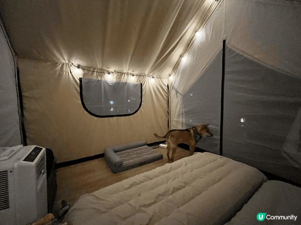 帶著狗狗捨不得去旅行，最Chill當然是帶著牠去Glampi...