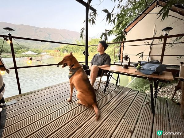 帶著狗狗捨不得去旅行，最Chill當然是帶著牠去Glampi...