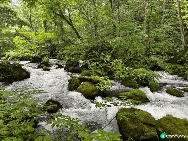 青森縣十和田市十和田湖畔的奧入瀨川的溪流，當天下著雨，看著天...