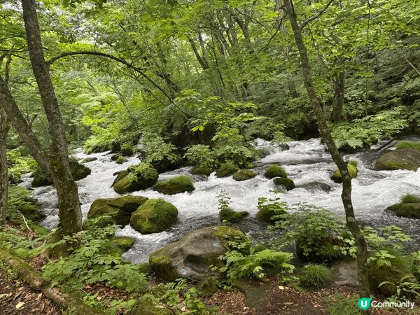 青森縣十和田市十和田湖畔的奧入瀨川的溪流，當天下著雨，看著天...
