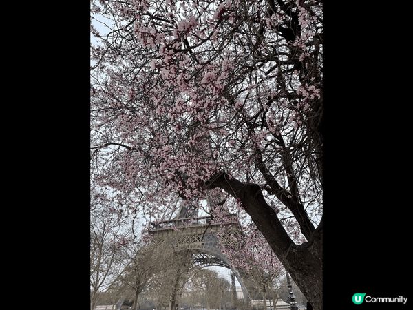 一生必去的浪漫之都法國巴黎。