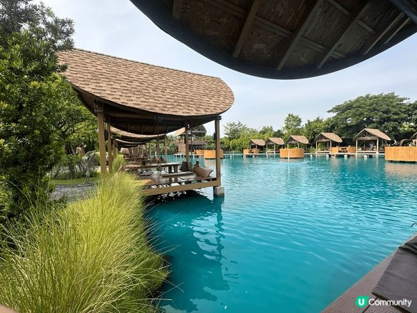 日本富士山本宮?間大社的流鏑馬展 曼谷動物園 日本熱海巿的海...