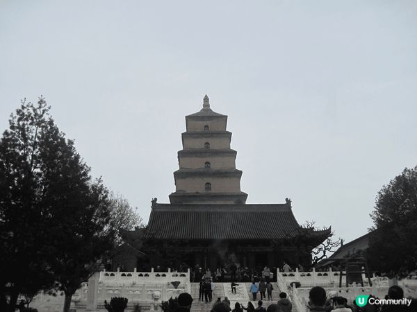 西安, 六朝古都, 兵馬俑當然好值得, 陝西歷史博物館同大雁...