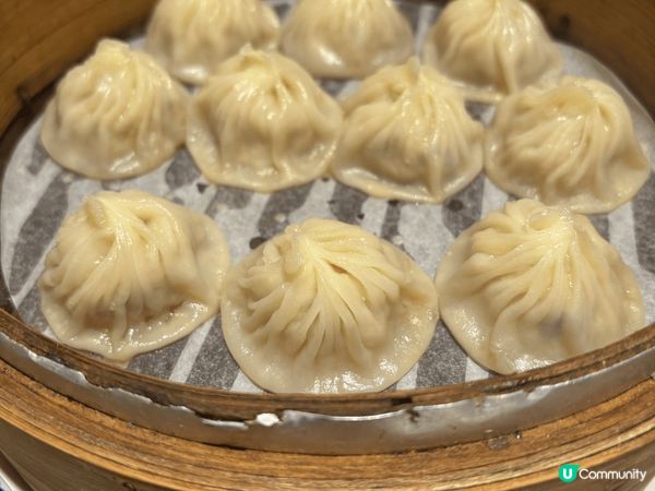 狗狗與我的打卡之旅