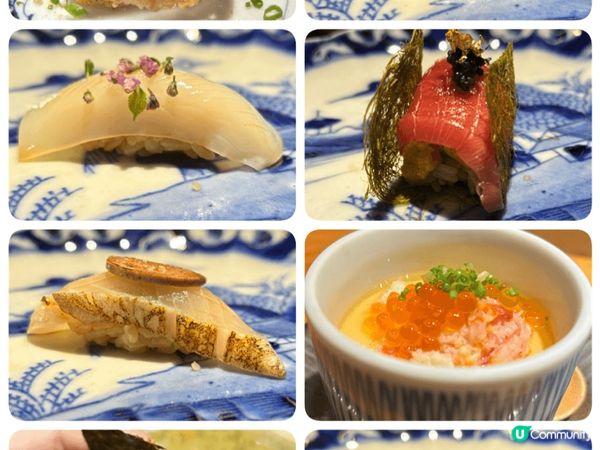 狗狗與我的打卡之旅