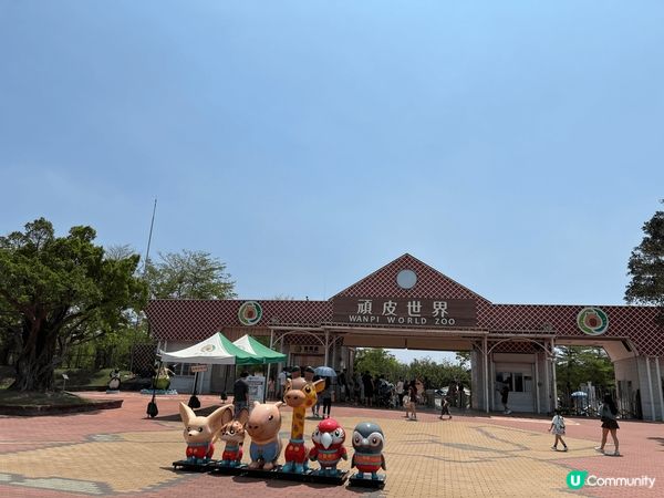 台南頑皮世界動物園有很多可愛小動物 可以近距離接觸水豚同草泥...