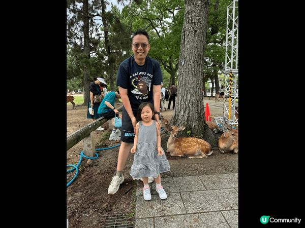 暑假去了日本大阪奈良睇鹿，是非常開心的體驗。回程的時候，還幸...