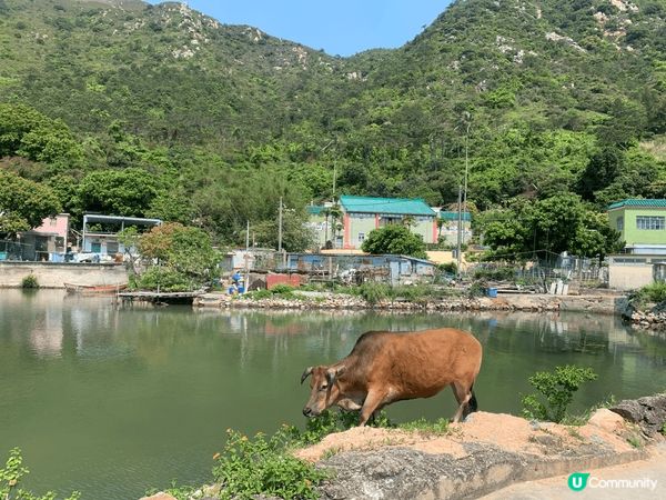 大澳一日遊！感受漁村風情🎣 慢活之旅！