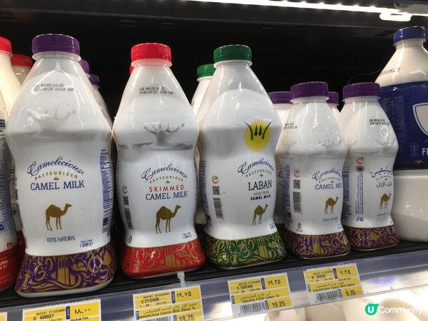 杜拜有賽駱駝, 超級市場有駱駝奶, 食物當然有中東包, 跟豆...
