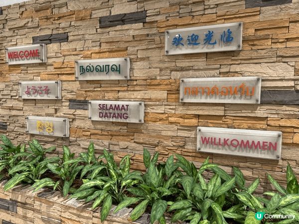 What a wonderful transit stay ...