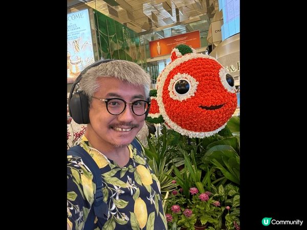 What a wonderful transit stay ...