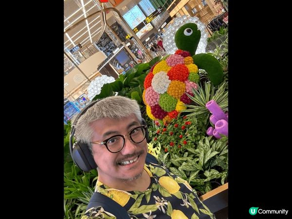 What a wonderful transit stay ...