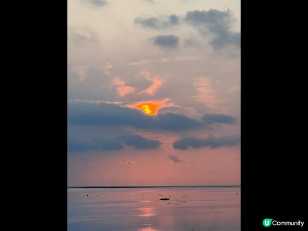 台中高美濕地 好天氣配上好心情 最適合情侶 望住咁靚既日落 ...