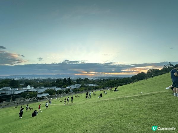 夏日熱辣辣又樂繽紛，捉緊夏日尾巴，到日本吃喝玩樂，享受夏天的...