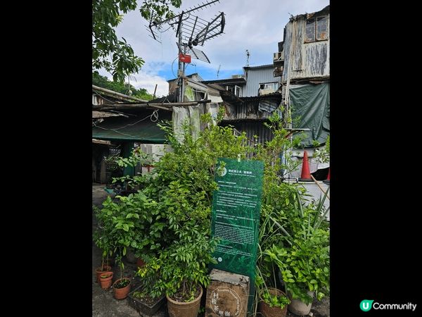 茶果嶺輕鬆行! 到訪僅存的茶果嶺村後再到新的茶果嶺公園欣賞日...
