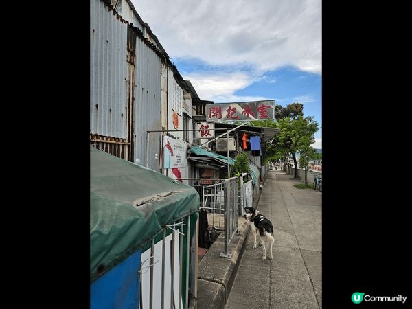 茶果嶺輕鬆行! 到訪僅存的茶果嶺村後再到新的茶果嶺公園欣賞日...