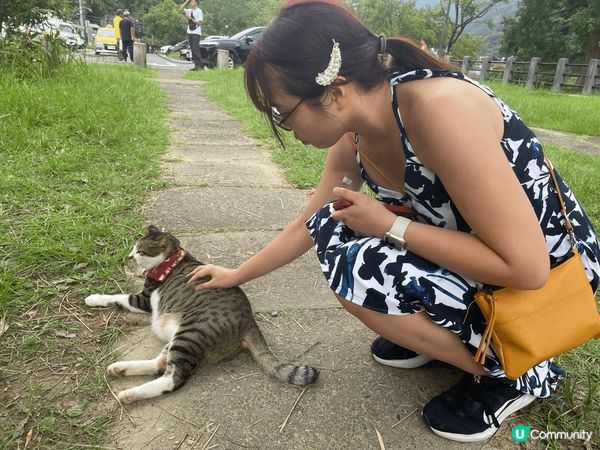 台北平溪線愉快半日遊，去猴硐瘋狂吸貓，補充足夠能量