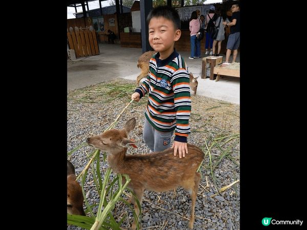 台灣真好玩，好多親子景點，有可愛?鹿鹿，風景也很美，台灣人也...