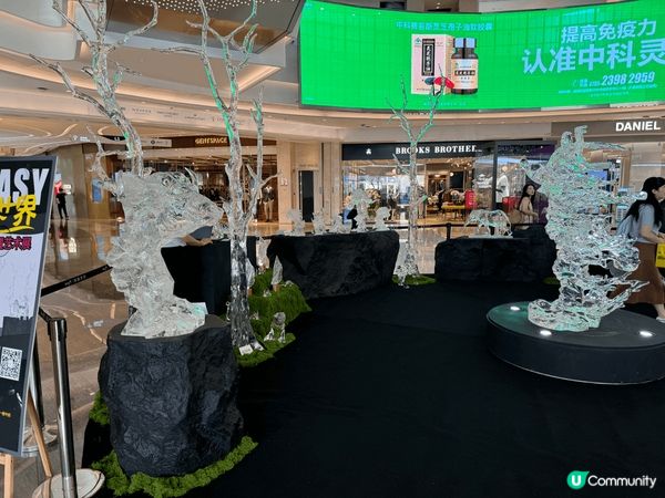 深圳一日遊，吃美食，周圍逛逛，簡單而快樂，快點找你珍惜的人出...