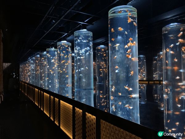 位於日本銀座既金魚博物館ART AQUARIUM MUSEU...