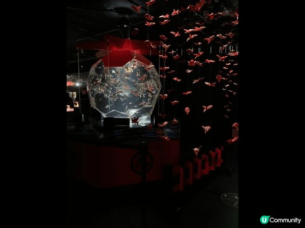 位於日本銀座既金魚博物館ART AQUARIUM MUSEU...