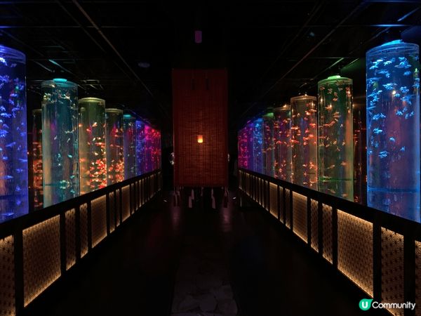 位於日本銀座既金魚博物館ART AQUARIUM MUSEU...