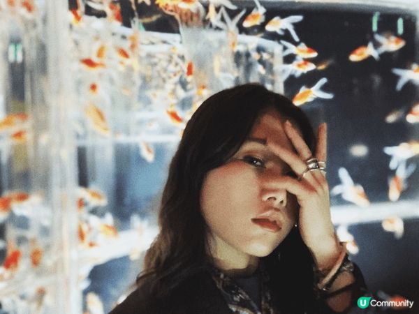 位於日本銀座既金魚博物館ART AQUARIUM MUSEU...