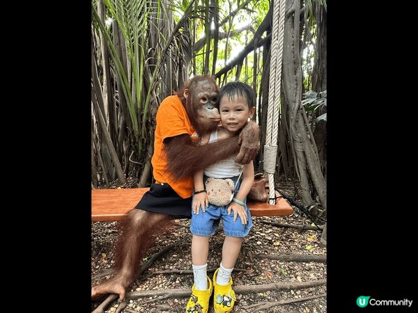 泰 chill 之旅 :每日行程食&玩，能夠同動物近距離接觸...